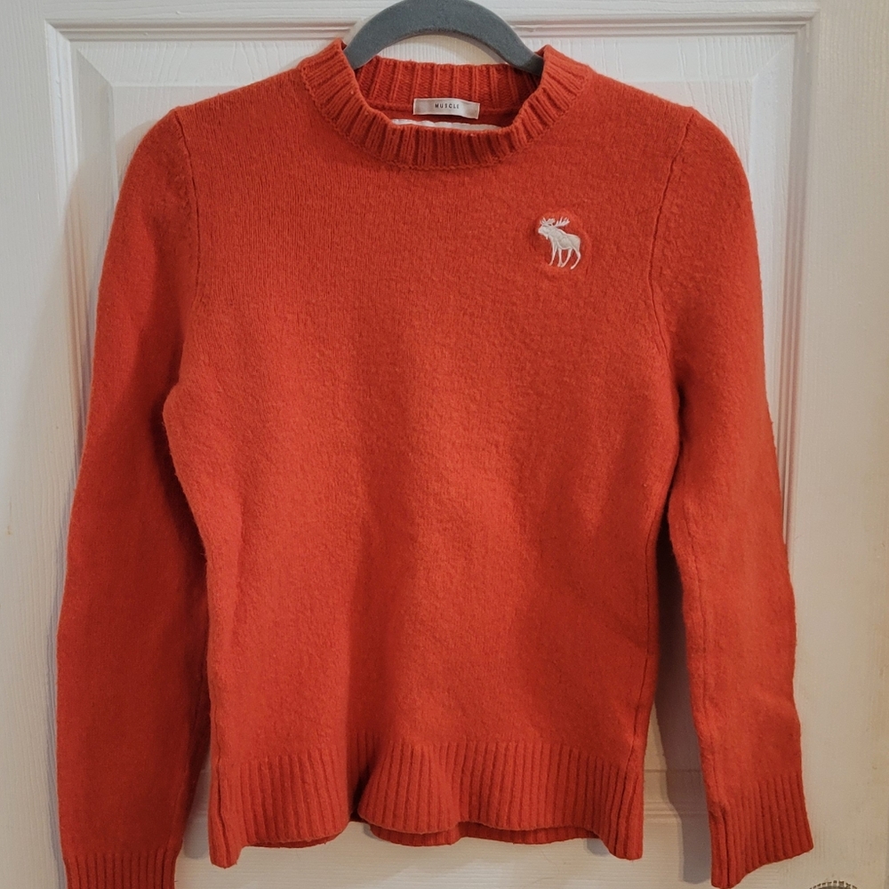 Abercrombie & Fitch Sweater - Picture 1 of 3